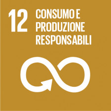 sdg 12, sdgs, obiettivi di sviluppo sostenibile, agenda 2030