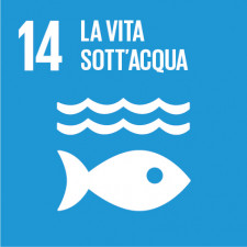 sdg 14, sdgs, obiettivi di sviluppo sostenibile, agenda 2030