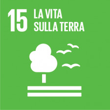 sdg 15, sdgs, obiettivi di sviluppo sostenibile, agenda 2030
