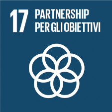 sdg 17, sdgs, obiettivi di sviluppo sostenibile, agenda 2030