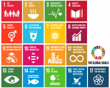 agenda 2030; sdgs; obiettivi di sviluppo sostenibile
