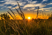 Distretto Rurale Cista Altoadriatica summer field, campo, tramonto, uda sostenibile, distretto rurale
